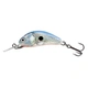 Silver Blue Shad