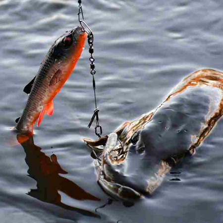 Guma Savage Gear 3D Whitefish Shad 12 cm | BLEAK