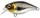Pompano