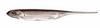 Fish Arrow Flash-J 3" - Wakasagi/Silver #07 - 1 szt.