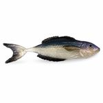 Przynęta FishB Vertigo - 12cm - kolor 1