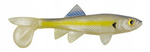 ..Przynęta BERKLEY Sick Fish 10cm - Chartreuse Shad 2szt.