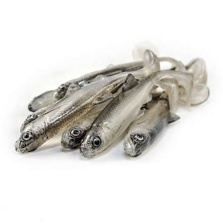 Guma Angry Lures Chub 7cm | TSW
