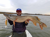 Zestaw Guma Westin Ricky the Roach ST 14cm | Lively Roach - 1szt + Dozbrojka Vis Vangen 2szt.