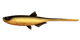 009 GOLD