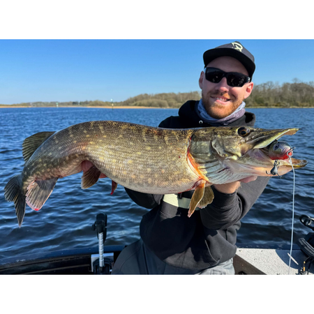 Guma hybrydowa BlackBay BlackBug Beetle Orginal | 21 cm | 75g | Tench