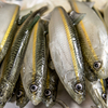 Guma Angry Lures Bleak V-Tail 20cm | WGY
