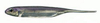 Fish Arrow Flash-J 2" - Lake Wakasagi/Silver #25 - 1 szt.