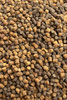 Pellet Feeder Bait 4mm | Fish Meal Natural