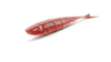 Guma Nays SPLT 4.5"| 11.4cm | C-08| 7 szt.
