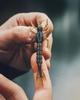 Guma Nays DRGN 35 | 8.9cm | C-32 | 5 szt.