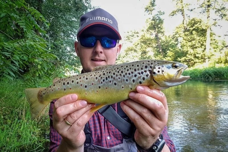 Gumy FishUp Yochu 4,3cm | 1,7" | #111/Hot Chartreuse | 8szt.