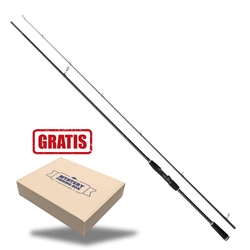 Wędka WESTIN W2 Powershad 8'/240cm MH 15-40g 2sec + GRATIS