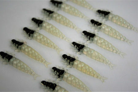 Przynęta FISHCHASER Chruścik / 2.4cm / 5szt. / Pearl