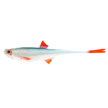 Guma Angry Lures Angry Bleak V-Tail 12,5 cm | NBR