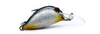 Wobler Engima Baits Cheerfish SDR 3cm | Natural | pływający