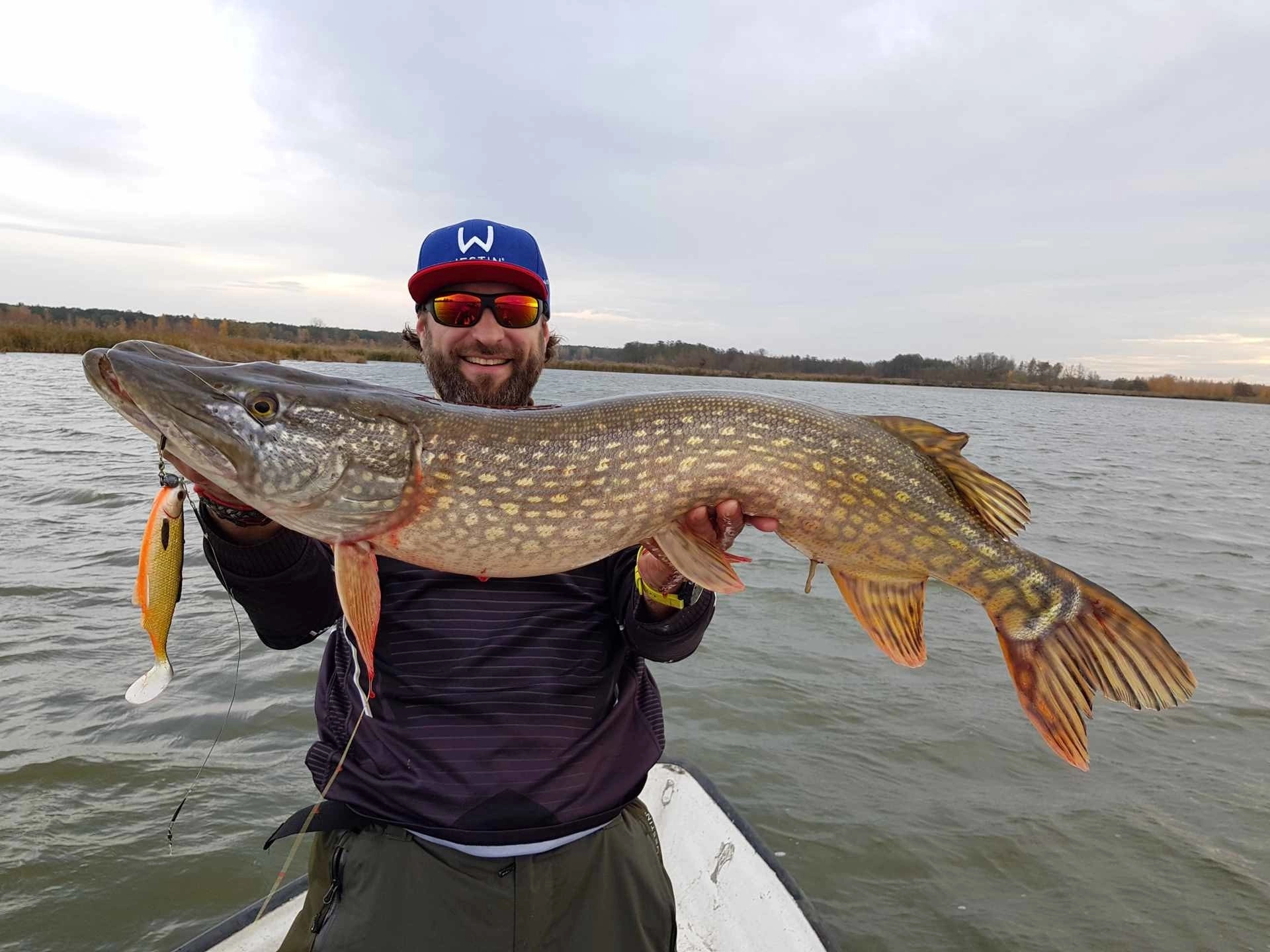 Przynęta Westin Ricky the Roach ST 10 cm 14 g Official Roach - 1szt