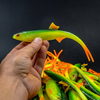 Guma Angry Lures Bleak V-Tail 20cm | GYO