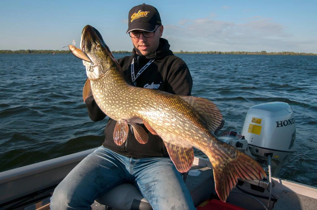 Wobler Salmo Perch 12cm | Hot Perch | pływający