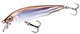 007 Pond Smelt