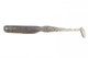 #440S Electric Shad