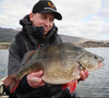 Guma Savage Gear Cannibal 15cm | Lemon Cracker
