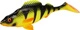 Firetiger Perch