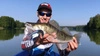 Przynęta MIKADO SAIRA 14cm, kolor 3D Limited Roach - 1szt,