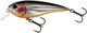 Steel Sardine
