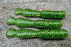 Guma Great Fish GF2 Leech 6cm | Glitter Green | rybny | 10 szt.