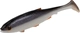 Carbon Roach