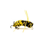 Wobler Imago Lures Hornet Flow 3,5cm - pływający - YB