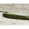 Guma SEWRO CUSTOM BAIT Ukleja 16cm- Zielony Naturalny Ogon