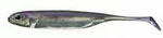 Fish Arrow Flash-J Shad 3" - Wakasagi/Silver #07 - 1 szt.