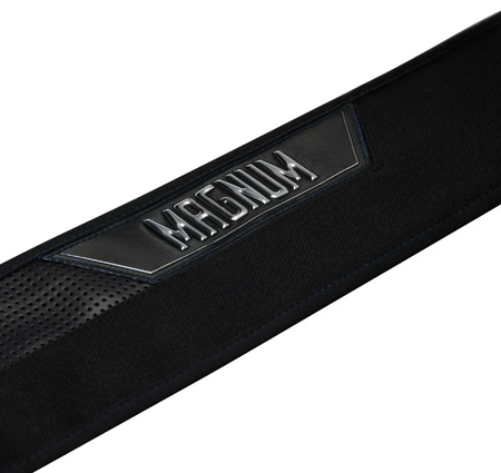 Wędka Favorite Magnum MGM1-6102M 210cm | 6-26g | Fast