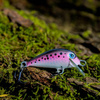 Wobler Engima Baits Brisk 4cm | Tęczak | pływający