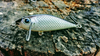 Wobler Bielik Focus 7cm | 10g | tonący | Czarny