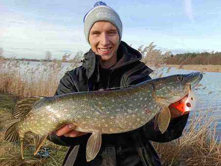 Guma Mikado Sicario Pike Tail 24cm Red Tiger