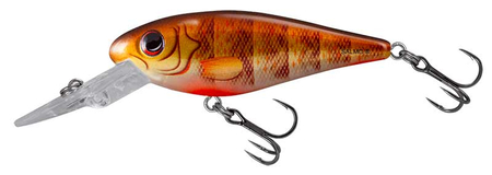 Wobler Salmo Rattlin’ Executor SDR 7cm | Clear Brown Perch | pływający