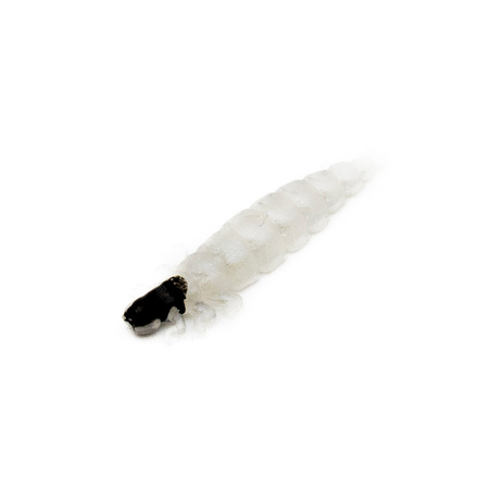 Przynęta FISHCHASER Chruścik / 2.4cm / 5szt. / Pearl