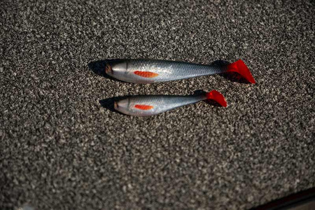 Guma Fox Rage Zander Pro Shad 10cm | Natural Roach