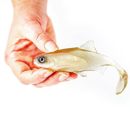 Guma Angry Lures Roach 12,5cm | TW