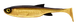009 Gold