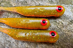 Guma Great Fish GF1 4,9cm | Motor Oil Green UV | krewetkowy | 10 szt.