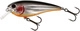 Steel Sardine