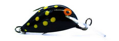 Wobler Engima Baits Cheerfish SDR 3cm | Salamandra | pływający