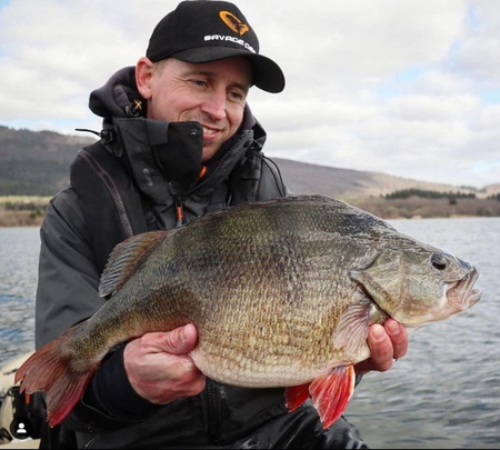 Guma Savage Gear Cannibal 8cm | Perch