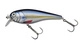 Blue Herring