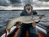 Przynęta Savage Gear Fat Vibes XL 12cm | Roach