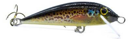 Wobler Engima Baits Pstrągowy 6cm | Pstrąg potokowy | tonący
